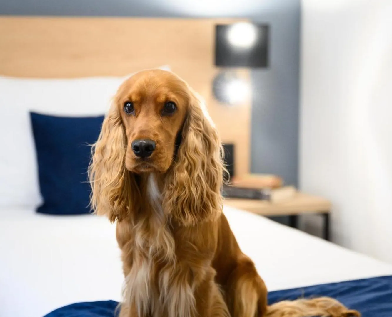Hotel Bristol Budapeszt